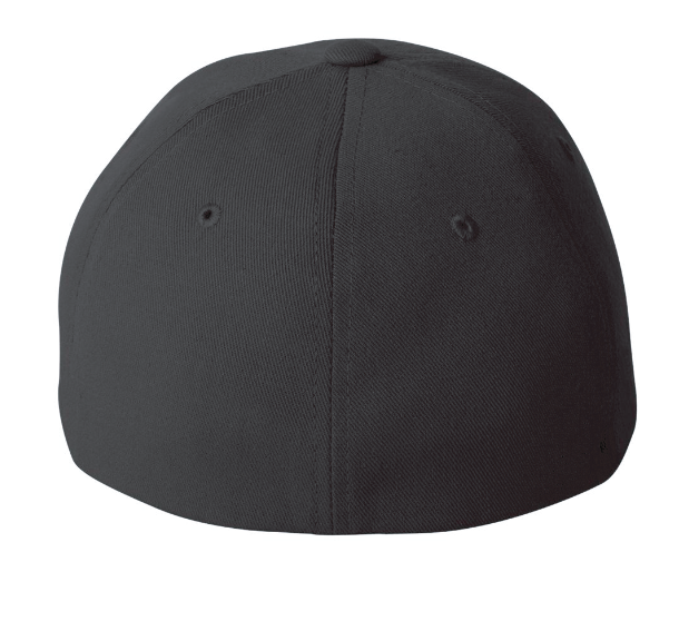 Flexfit Pro-Formance Cap (black) (DT)